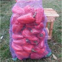 Продам перець Політ