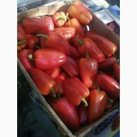 Продам перець Політ