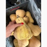 Батернат(тыква) 2 сорт на переработку 10 тон