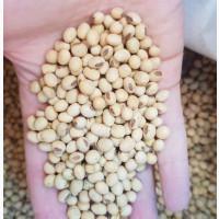 Продам Сою ГМО