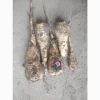 Продам Пастернак