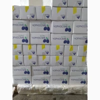 Продам Чорнослив без кісточки