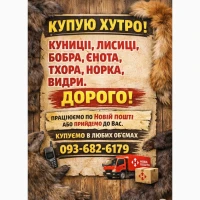 Куплю хутро куниці та інше