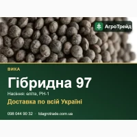 Насіння вики Гібридна 97: еліта, РН-1, доставка по Україні