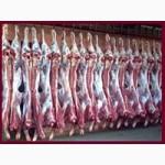 Мы предлагаем Вам широкий выбор мясной продукции, мясо в полу тушках.