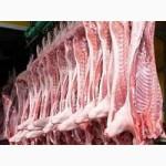 Мы предлагаем Вам широкий выбор мясной продукции, мясо в полу тушках.
