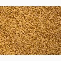 Горчица желтая