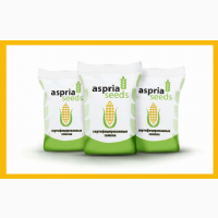 Продам насіння кукурудзи АС 33002 ФАО 250 Аспрія (Aspria)