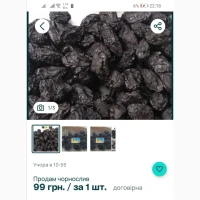 Чорнослив купити, чорнослив ціна