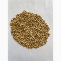 Чечевица зеленая от сельхозпроизводителя