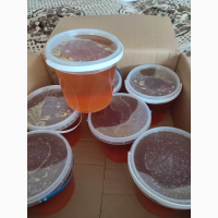 Продам мед 2021 року