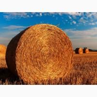 Сетка тюковочная JUTA Чехия