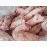 Ноги свинячі