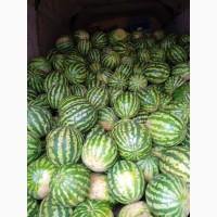 Продам кавун