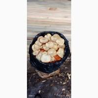 Мухомор красный(оптом 5кг)