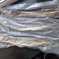 Таранка з щуки, вялена, свіжа, завакумована