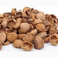 Купуємо шкаралупу грецького горіха