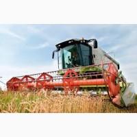 Куплю Пшеницю по всій Україні