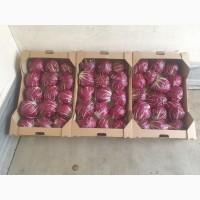 Продам салат радіччіо