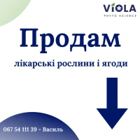 Продам лікарські РОСЛИНИ | ОПТ (лік трави і ягоди)