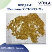 Продам лікарські РОСЛИНИ | ОПТ (лік трави і ягоди)
