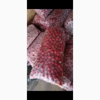 Продам редиску