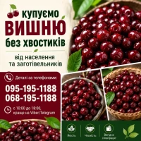 Закуповуемо вишню в необмеженій кількості ( усіх сортів ) на переробку