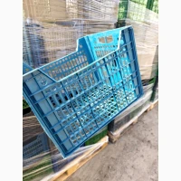 Продам ящики пластиковые