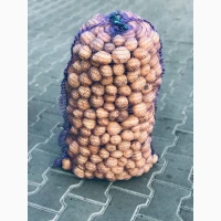 Продам насіння картоплі рів’єра