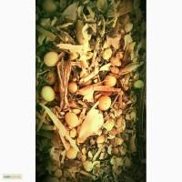 Продам зерноотходы.