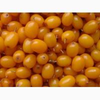 Продам свежие ягоды облепихи