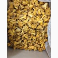Продам лисичку свіжо морожену