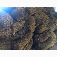 Закупляєм корінь хрону