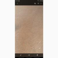 Продам ячмінь