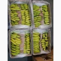 Продам банани, Львiвська область