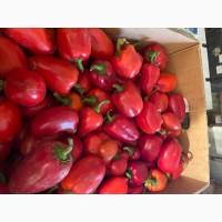 Продам пере Виктория