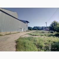 Продається діючий елеваторний комплекс з залізничною гілкою