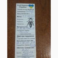 Продам матки карніка F-1