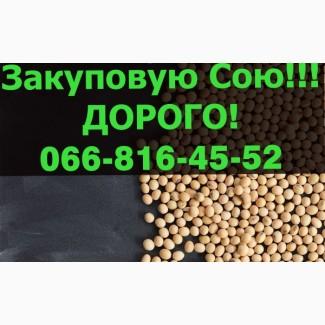 Закуплю СОЮ 2024 року Урожая!Дорого