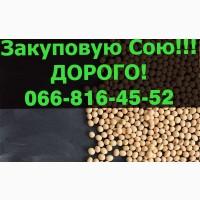 Закуплю СОЮ 2024 року Урожая!Дорого