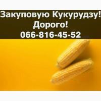 Купуємо Кукурудзу на конкурентних умовах