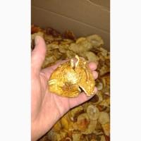 Мухомор красный