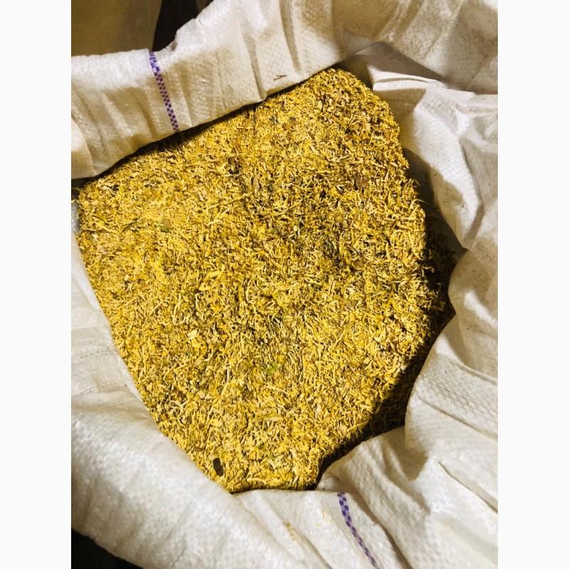 Фото 2. В наявності Вірджинія, Берлі, Голд