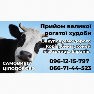 Куплю дорого ВРХ