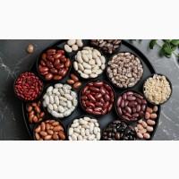 Купуємо квасолю (білу та кольорову) на переробку