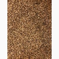 Продам кориандр