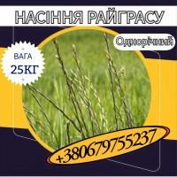 Насіння Райграсу однорічного (25 кг).Насіння кормових трав