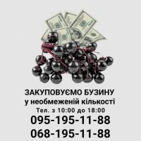 Закуповуемо бузину у необмежений кількості