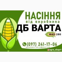 Гібрид кукурудзи ДБ Варта (ФАО 280). Насіння від виробника