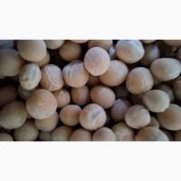 Продам Горох